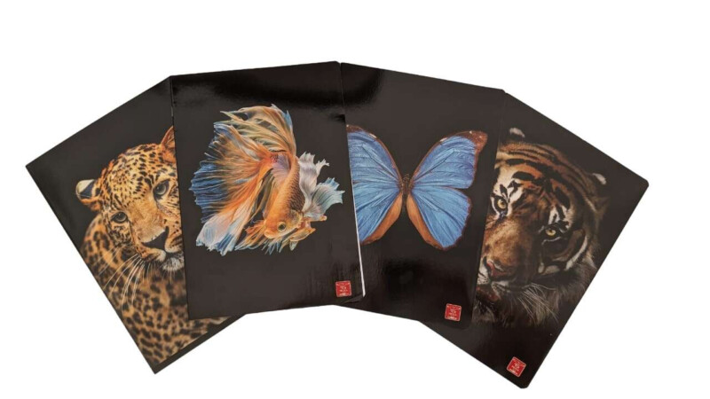 PIGNA ANIMAL 0B QUADERNONE A RIGHE CON MARGINI PER 3° ELEMENTARE